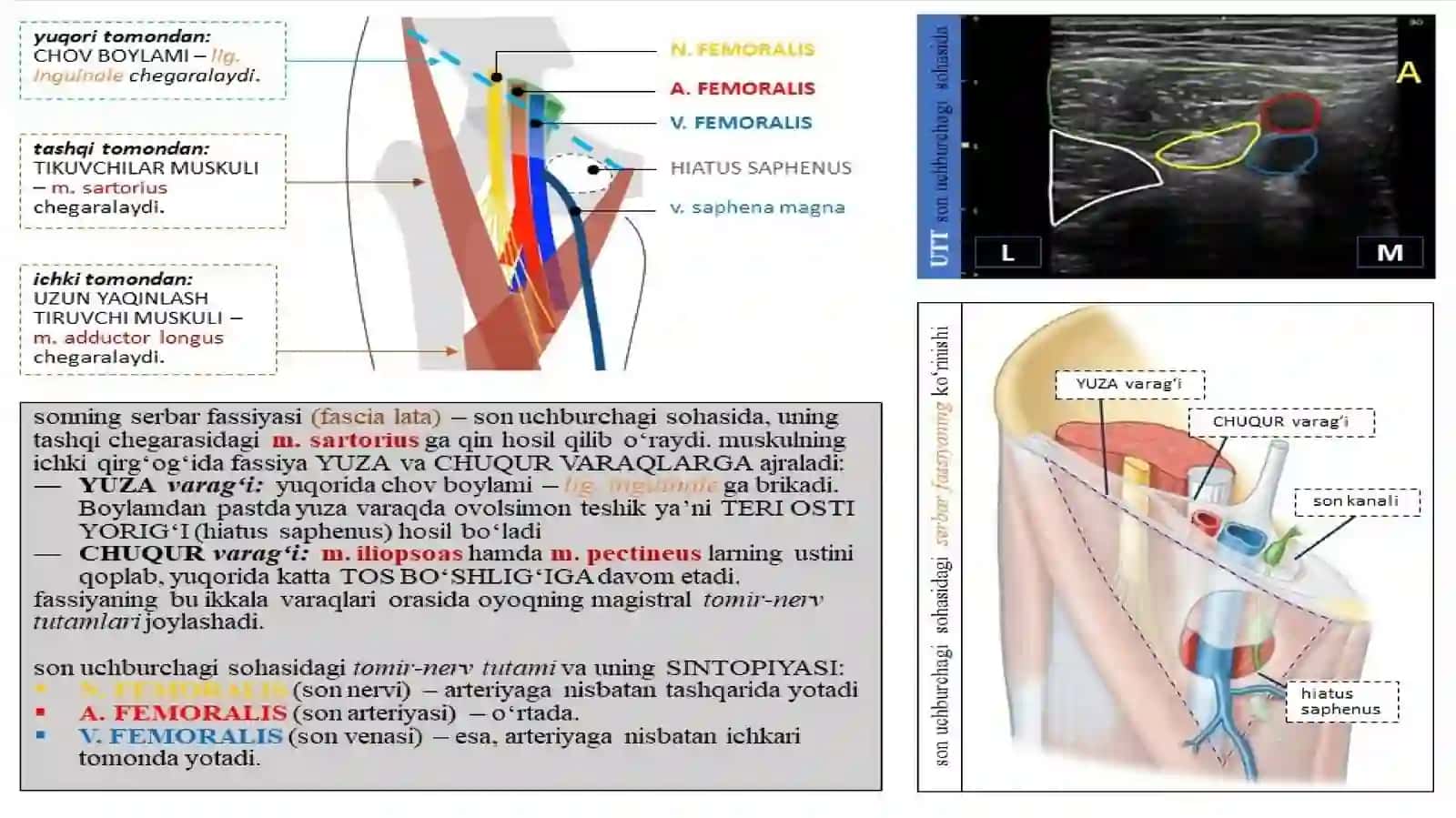 OYOQNI TOPOGRAFIYASI 4
