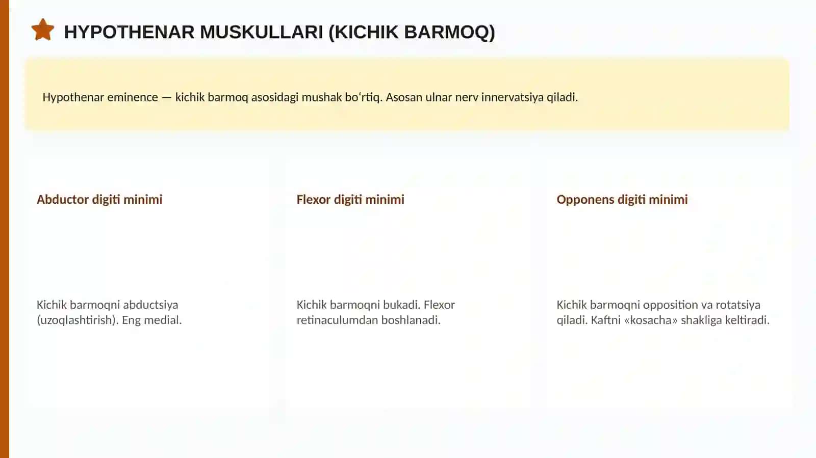 Qo'l muskullari 4