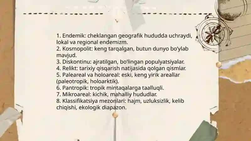 Arealogiya 4