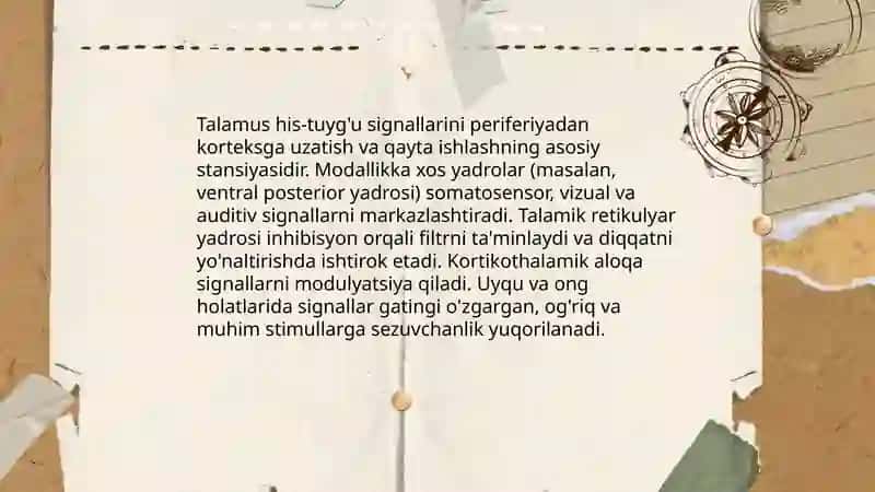 Oraliq miya fiziologiyasi 4