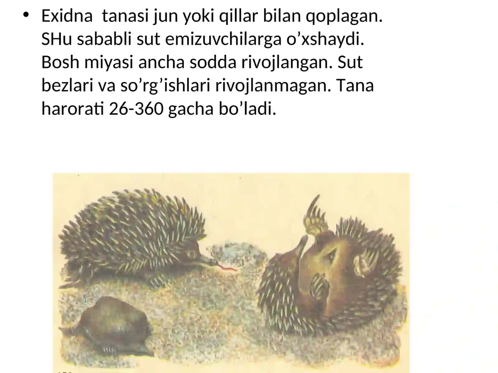 Sut emizuvchilаrning 4