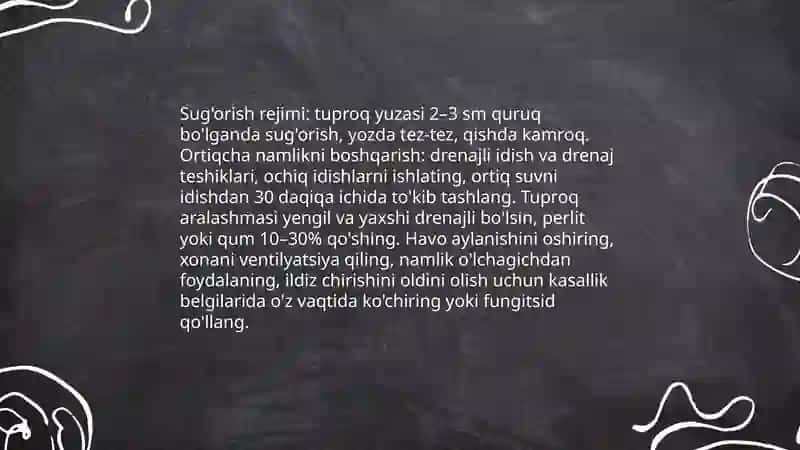 Xona o'simliklarida uchraydigan kasalliklarga qarshi kurashish 4