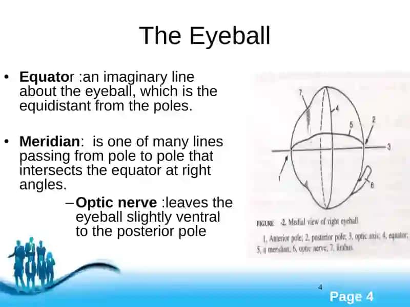 TheEye 4
