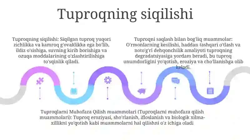 Tuproqlarni Muhofaza Qilish Muammolari 4