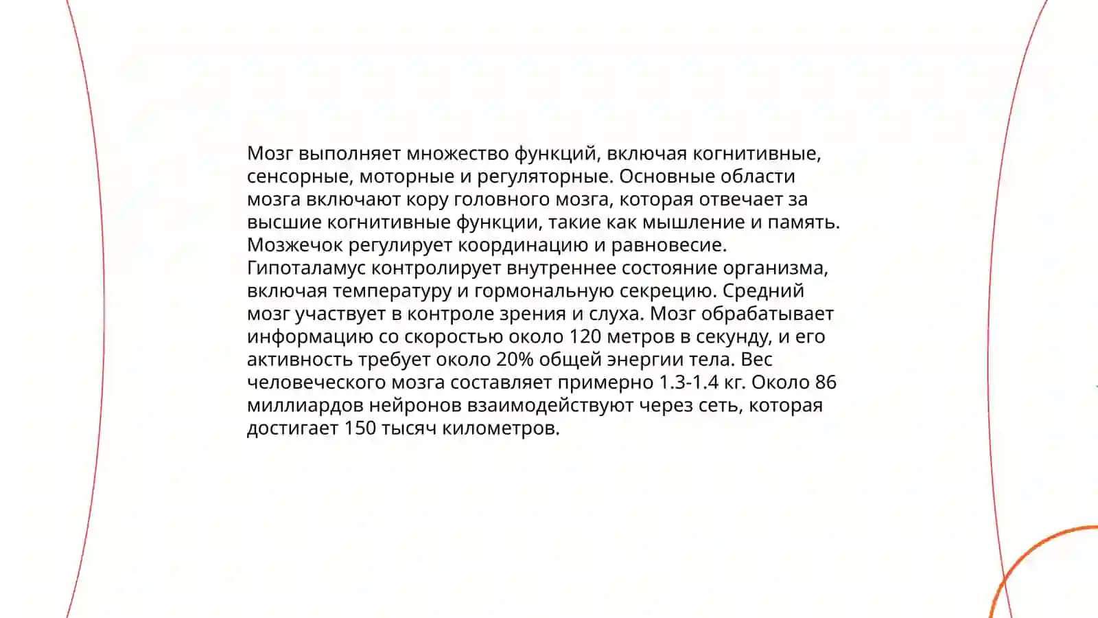 Головной мозг. Стили речи 4