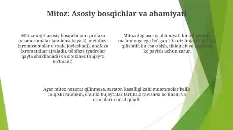 Hujayra hayot aylanishi. Mitoz va Meyoz 4