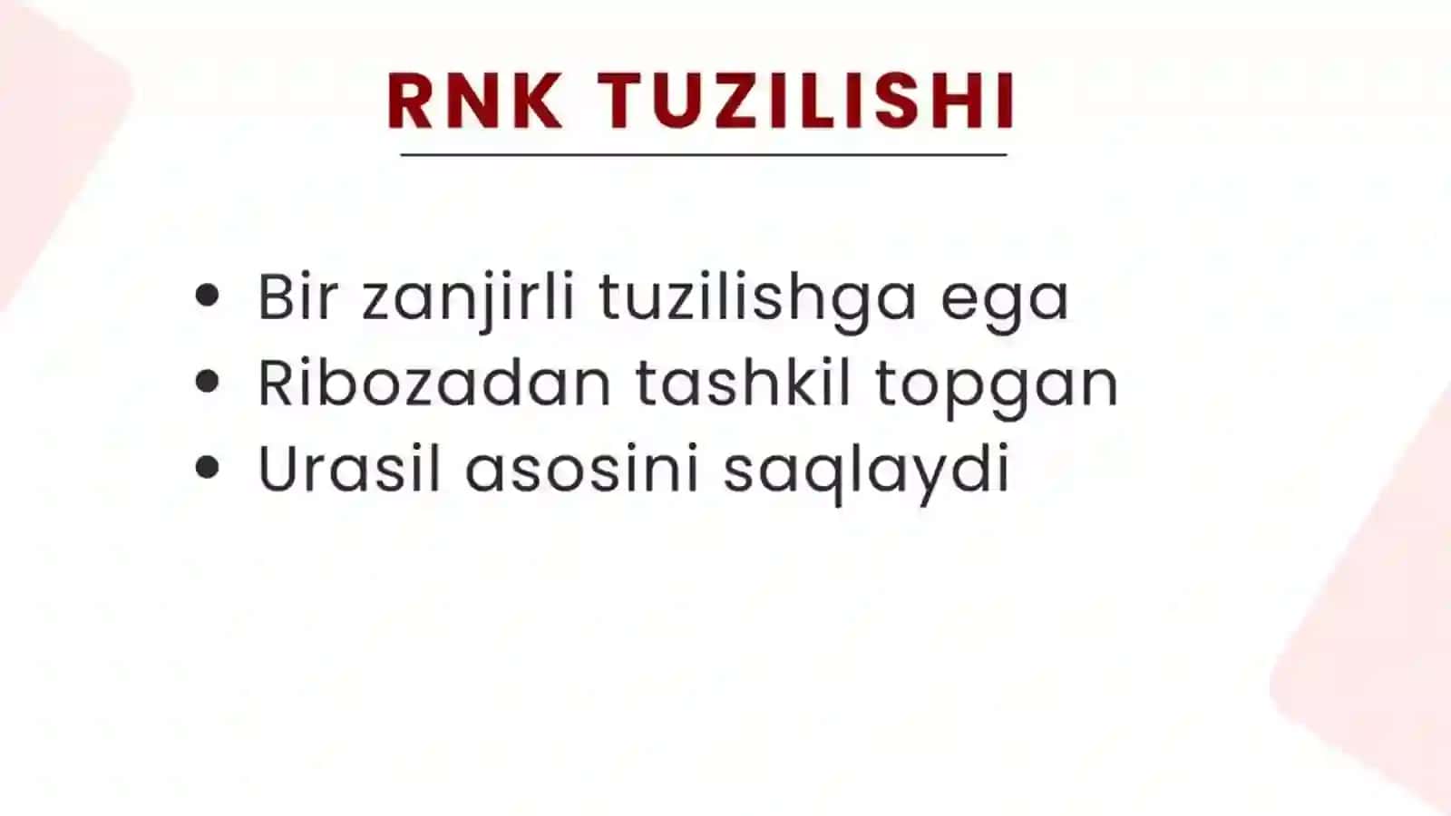 Nuklein kislotalar almashinuvi 4