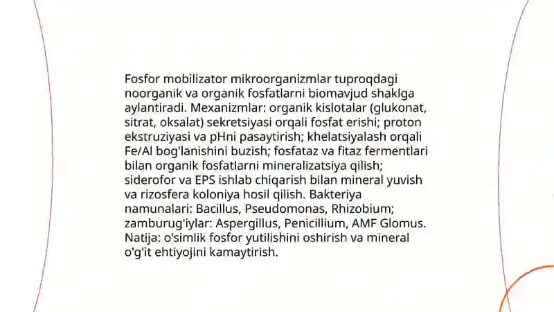 Tuproq unumdorligi oshirishda mikroorganizmlardan foydalanish 4