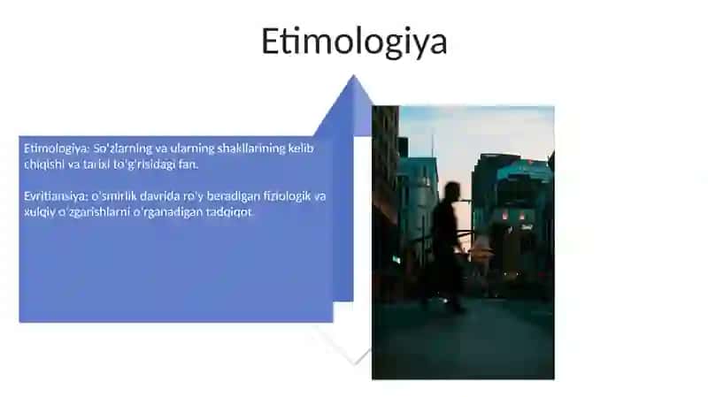 Evirtanansiya 4