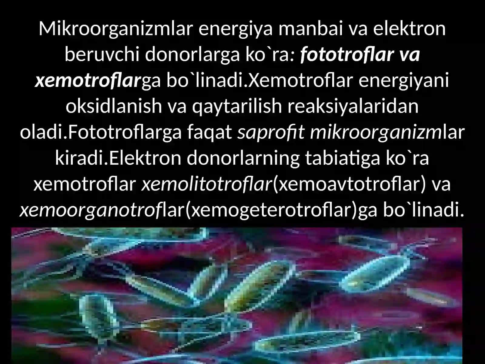 Mikroorganizmlar fiziologiyasi. O'sish va ko'payishi. Oziq muhitlar. Mikroorganizmlarni o'stirish prinsiplari 4