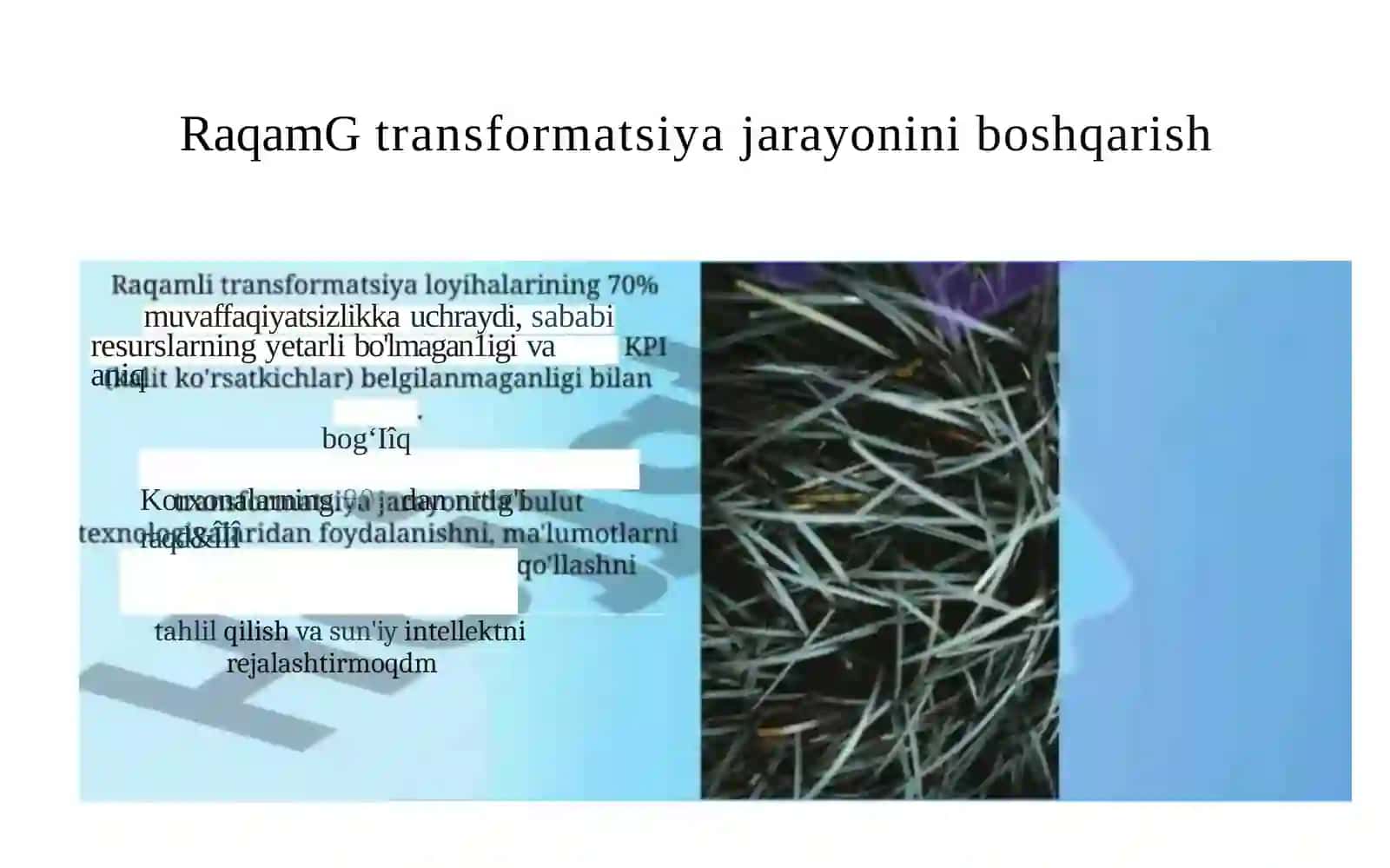 RAQAMLITRANSFORMATSIYA 4