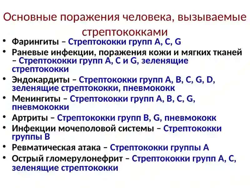 Стрептококки 4
