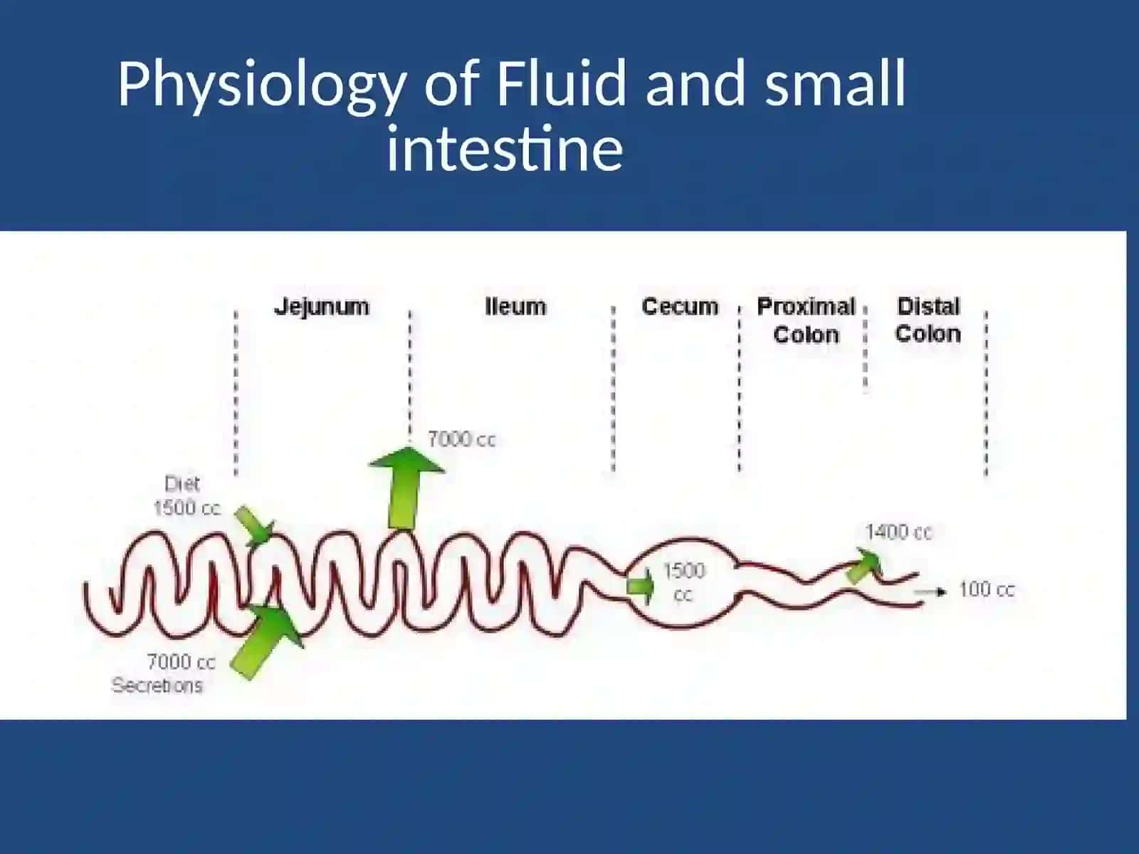 Gastrointestinal Block Pathology lecture 4