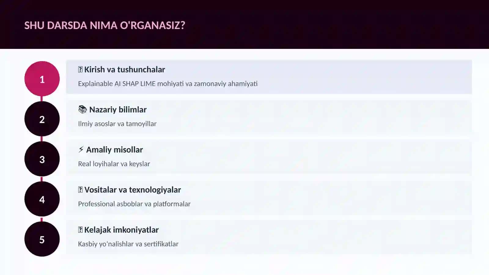 DATA SCIENCE VA TAHLIL Explainable AI SHAP LIME 4