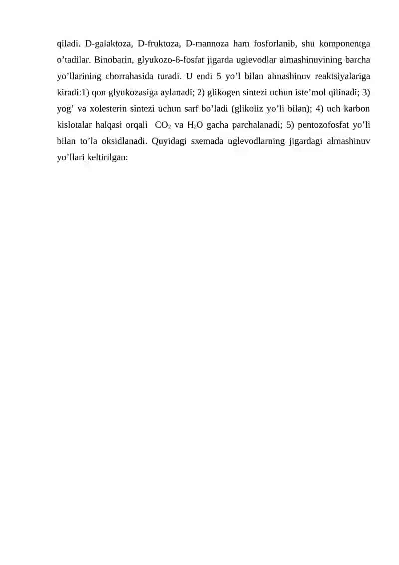 Glikogenning sintezi va parchalanishi 4