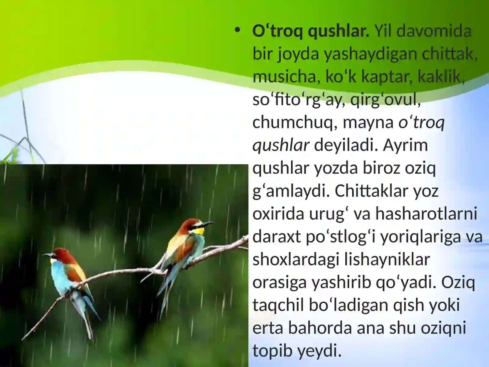 7-sinf Zoologiya 'Qushlarning mavsumiy hodisalarga moslashishi' ko'rgazma 4