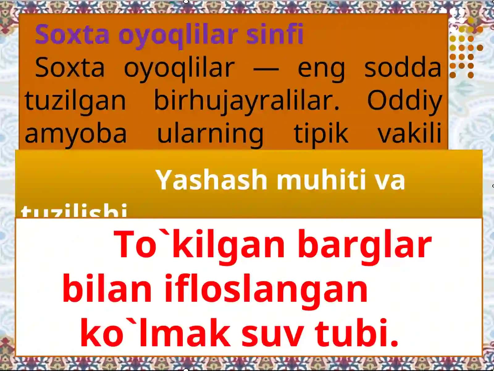 BIRHUJAYRALILAR, YA’NI SODDAHAYVONLAR 4