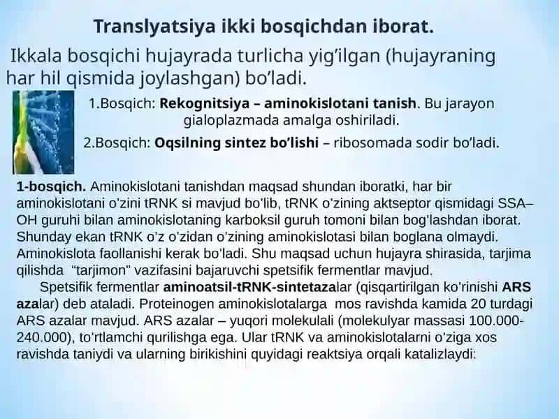 Oqsil biosintezi 4