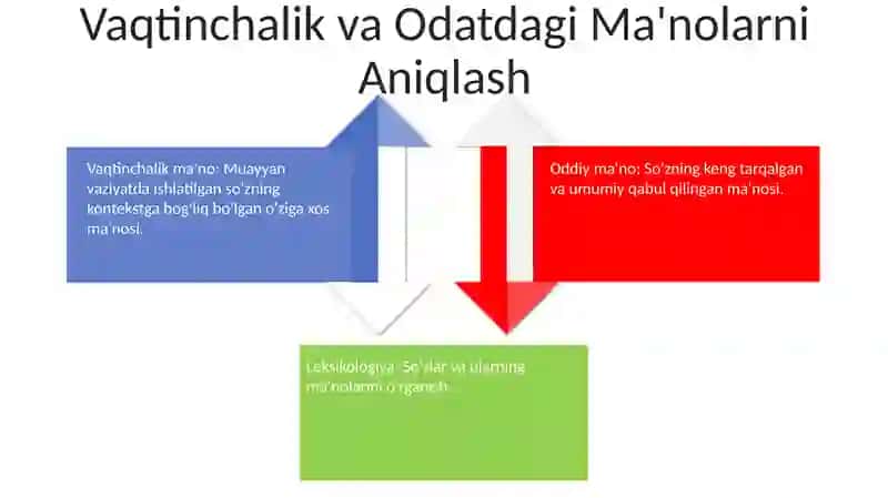 Leksikologiya: So'z ma'nolarini tushunish 4