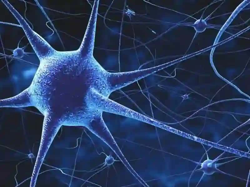 Vegetativ nerv sistemasi fiziologiyasi 4