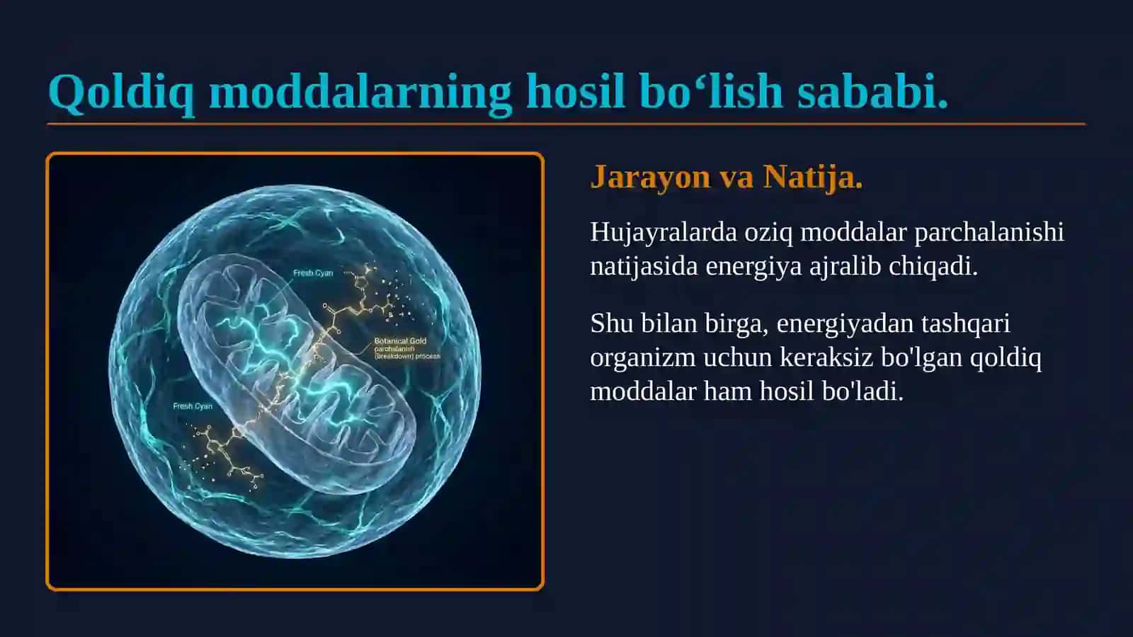 TIRIK ORGANIZMLARNING AYIRISHI 4