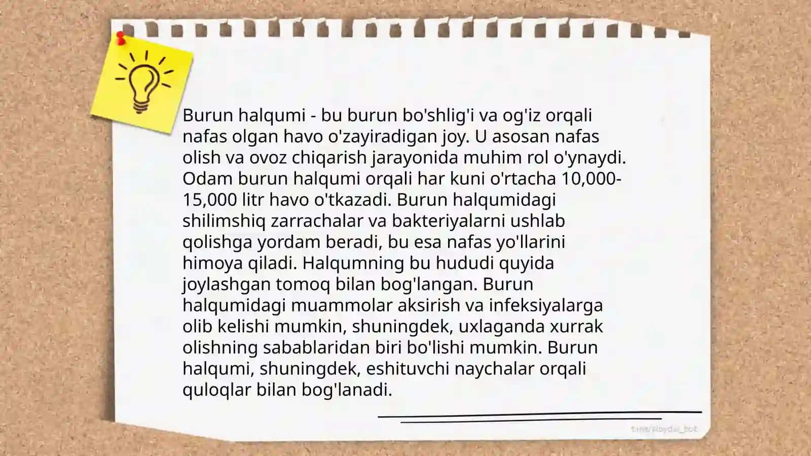 Ayirish sistemasi organlari 4