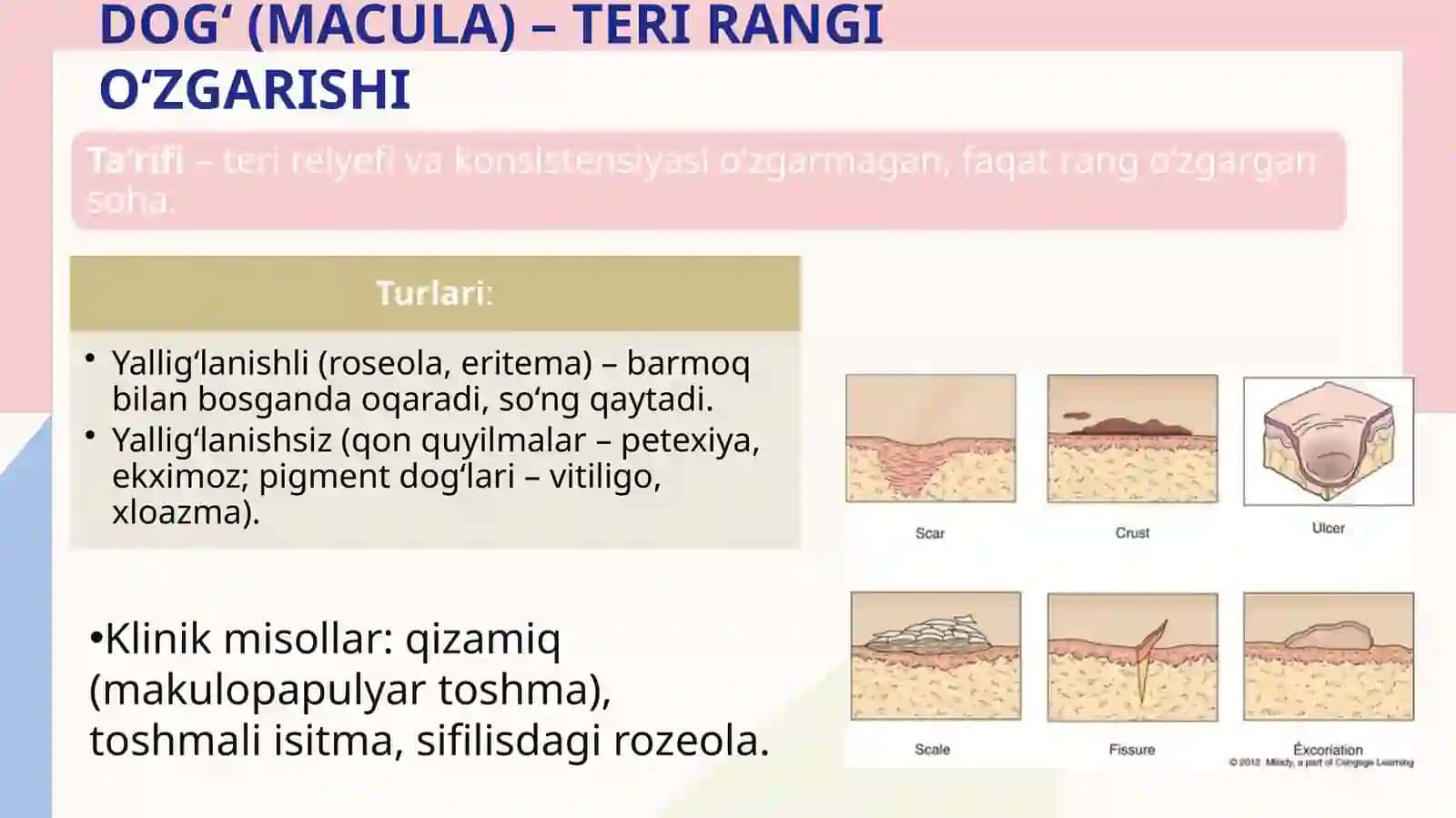 Terining patologik elementlari 4