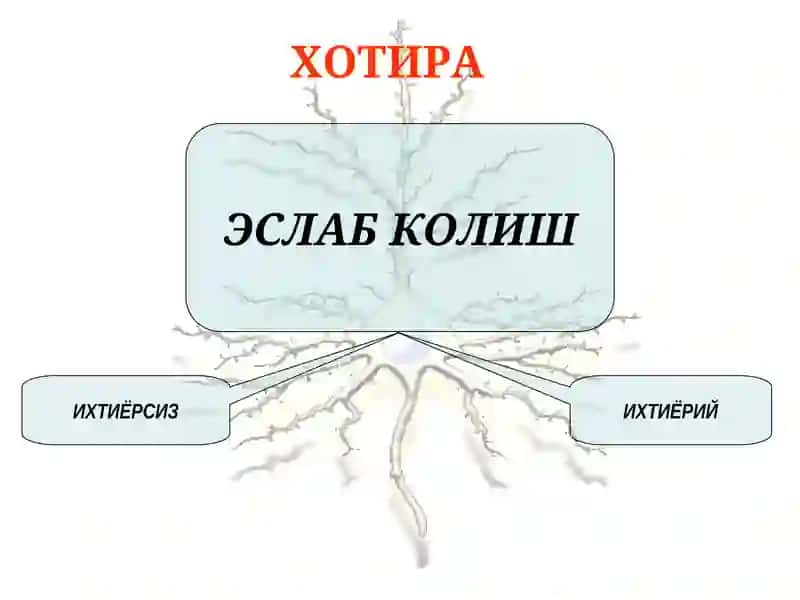 Психиатрия 4