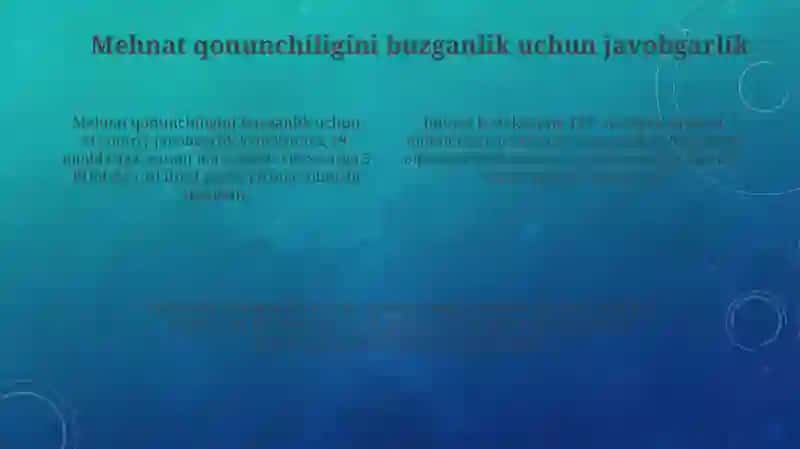 Mehnat qonunlariga rioya etilishini nazorat qilish 4