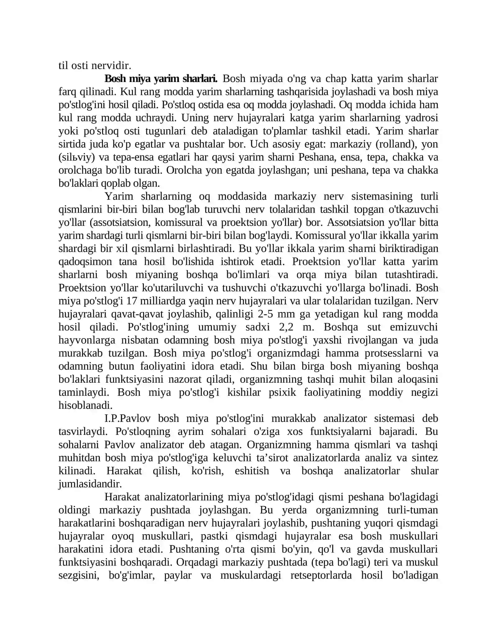Nerv sistemasi 4
