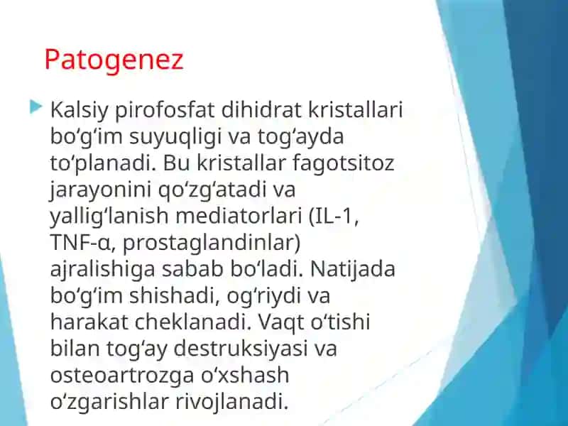 PSEVDOPODAGRA 4