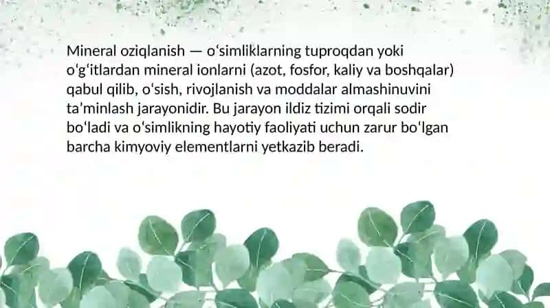 O'Simliklardan Mineral O'g'itlardan Foydalanishning Fizologikasoslari 4