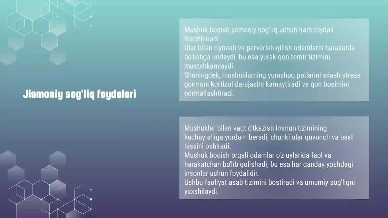 Mushuk Boqishning Foydalari 4