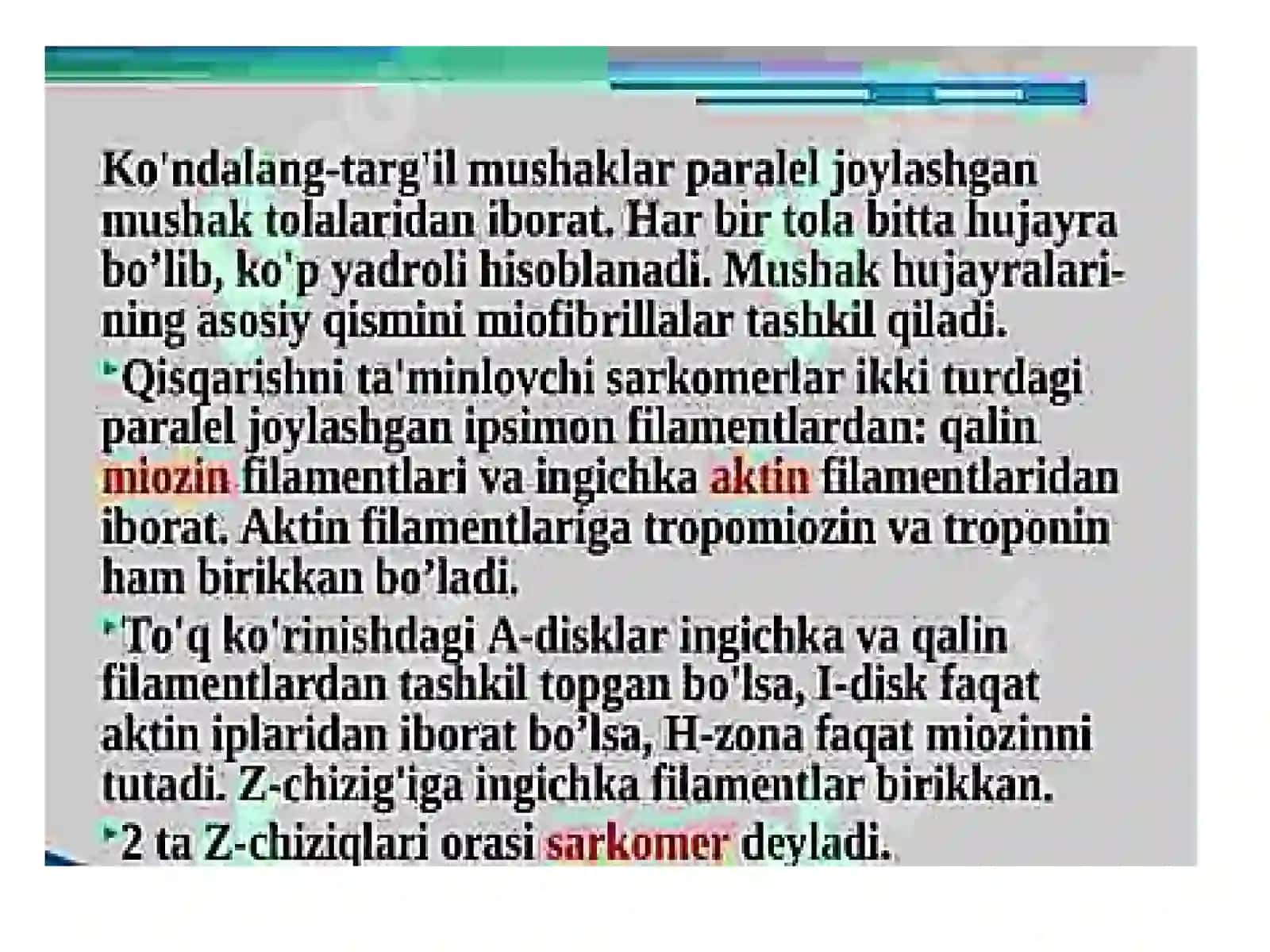 Mushak, qontomirtizimi va yurak biokimyosi 4