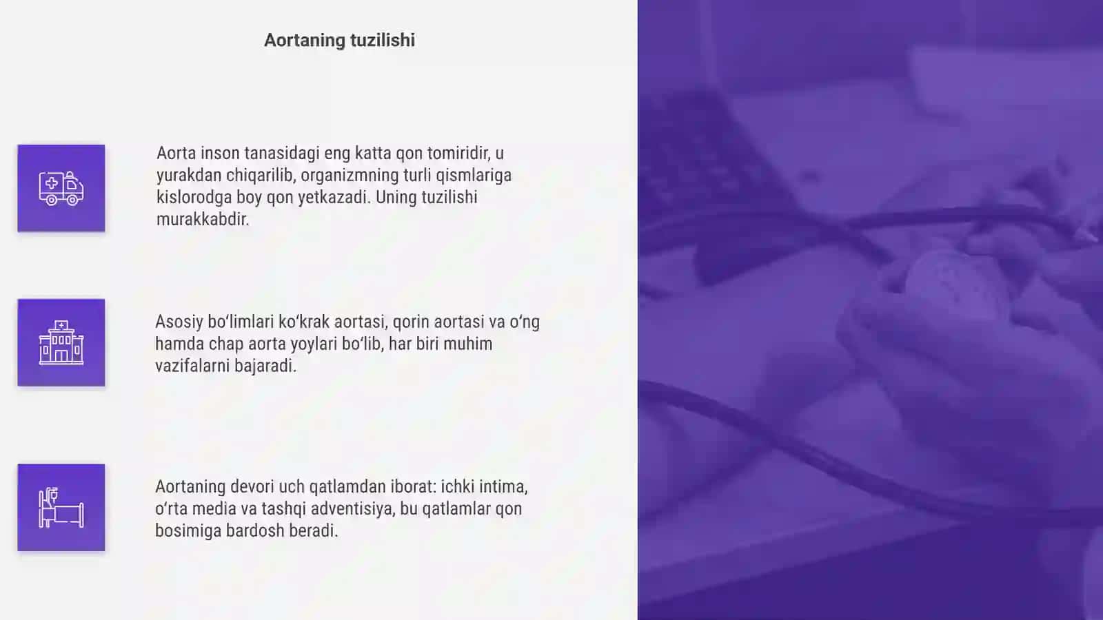 Aorta qon tomiri 4