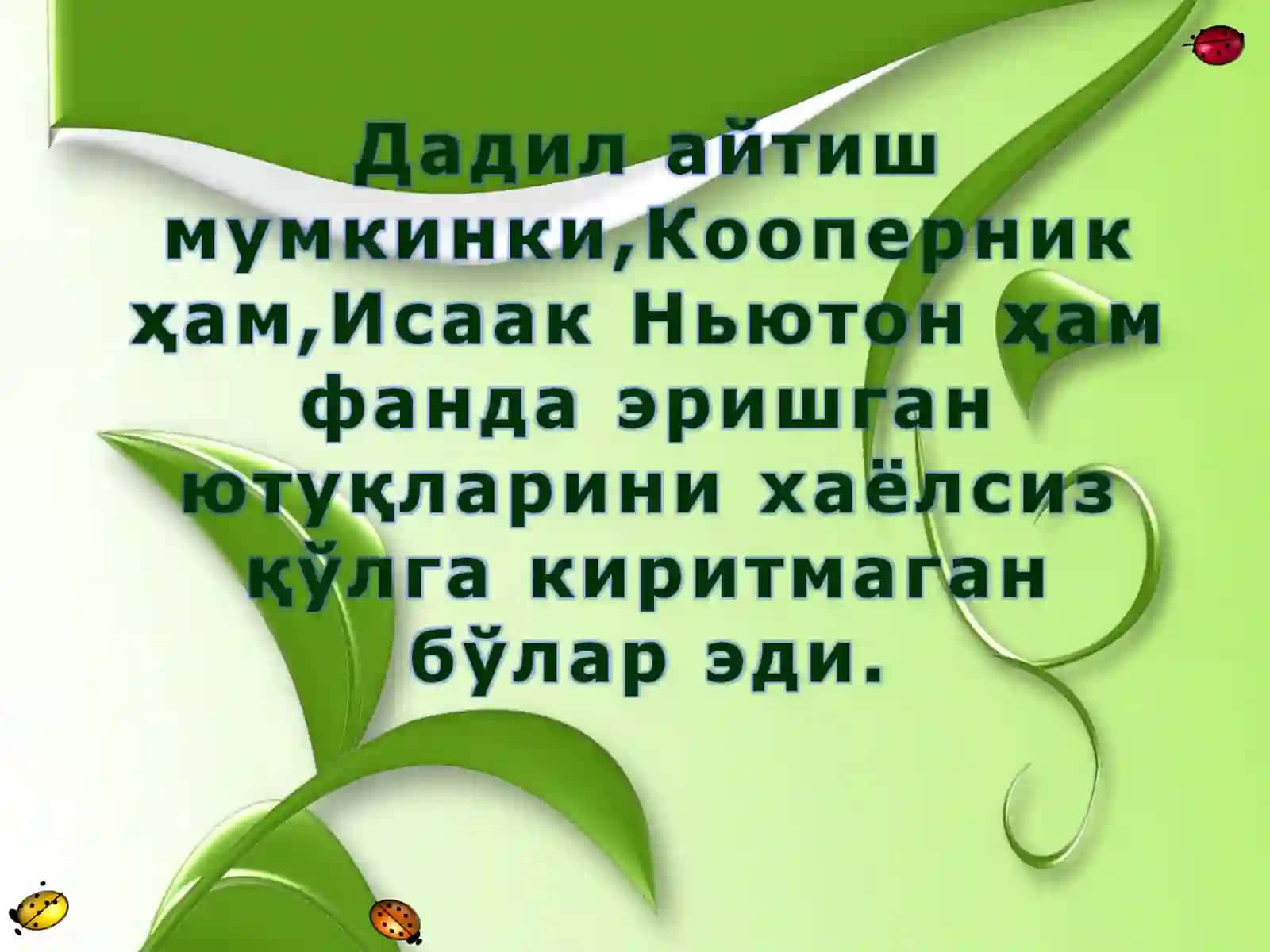 Тренинг қоидалари 4