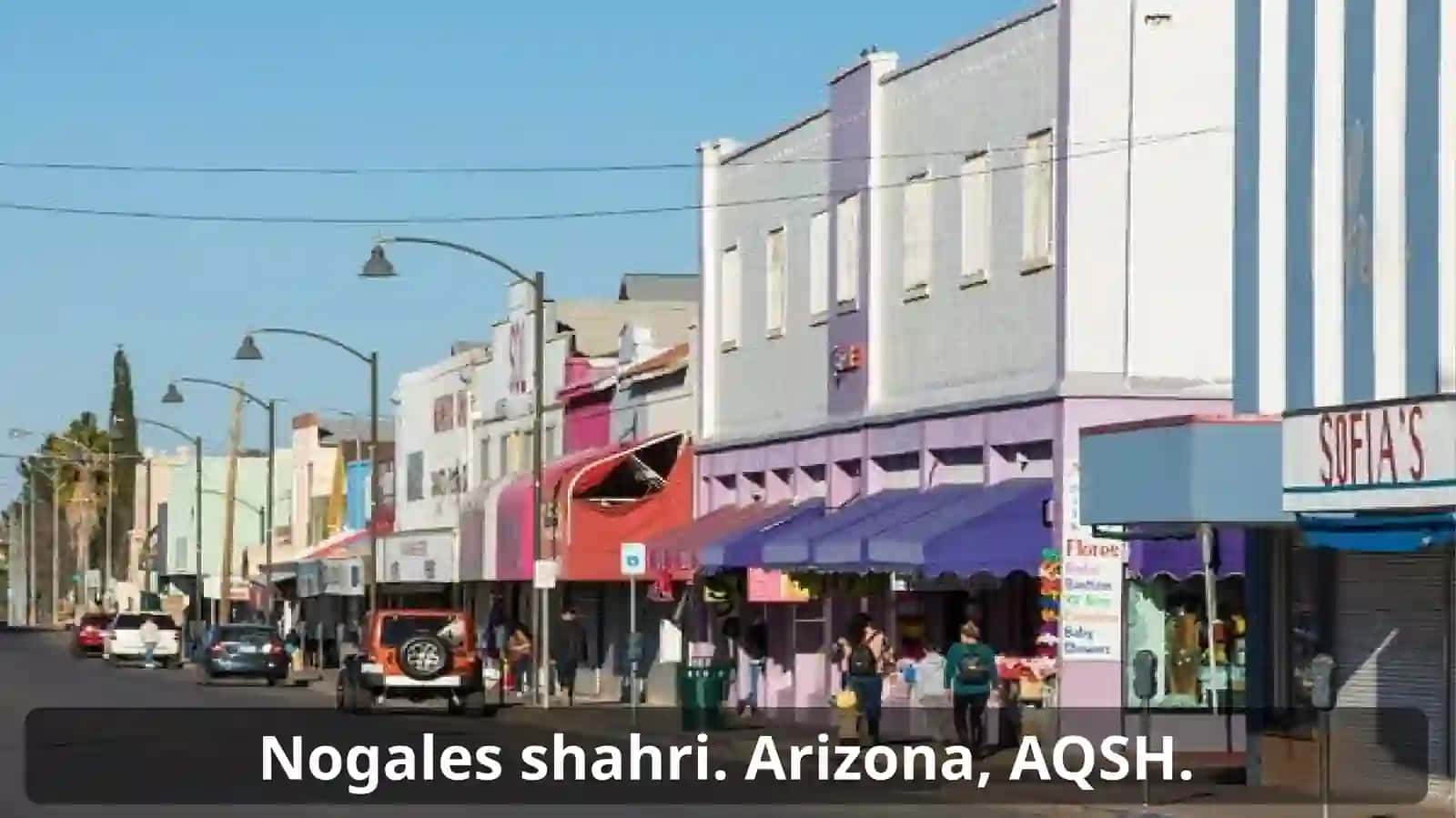 Mustaqil ish. D. Acemoglu, J.Robinson. Mamlakatlar tanazzuli sabablari 4