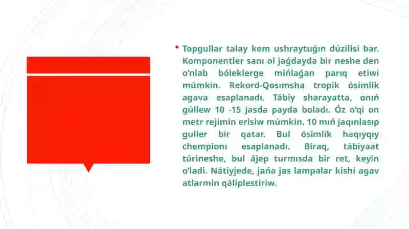 Apıwayı hâm quramalı topguller 4