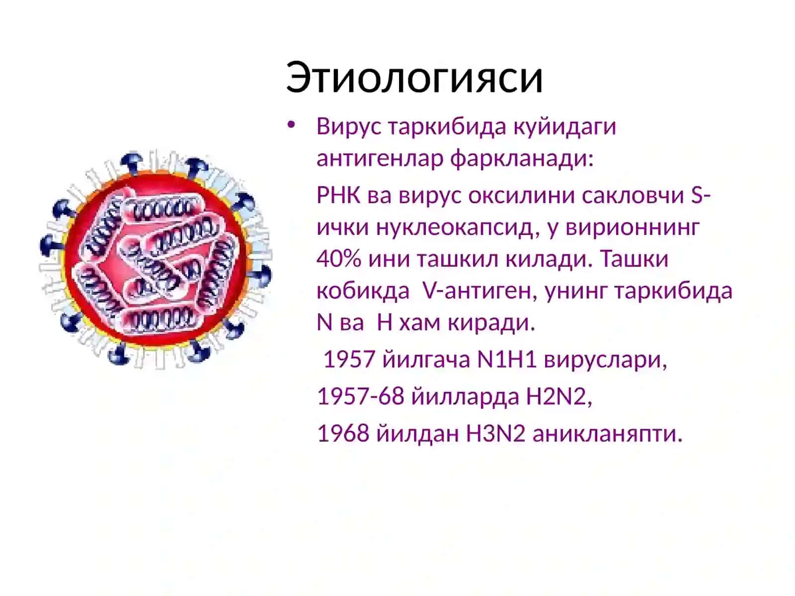 Грипп 4