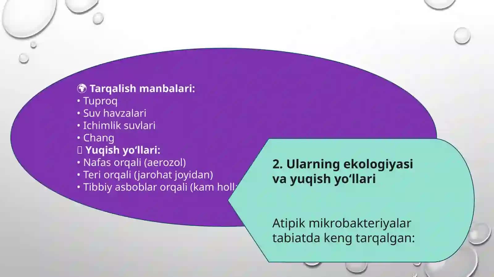 Atipik mikrobakteriyalar va ularning amaliyotdagi ahamiyati 4
