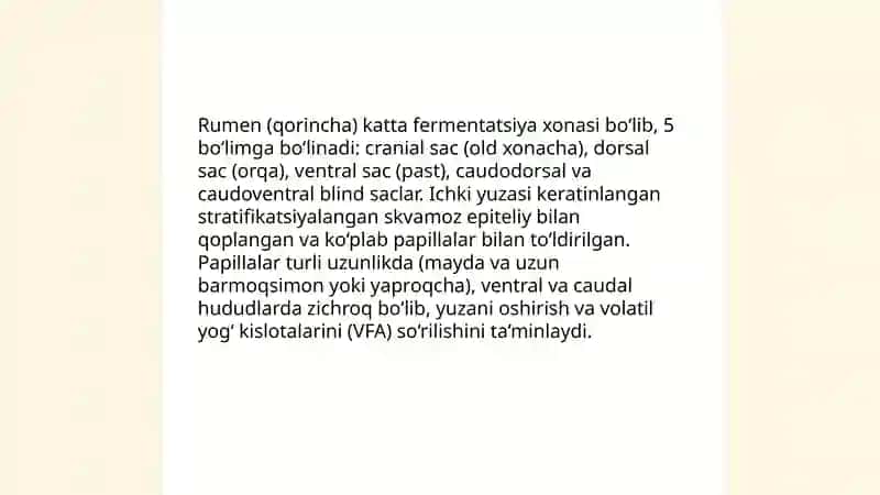 Kavsh qaytaruvchi hayvonlarning diafragmadan keyingi ovqat hazm qilish sistemasi 4