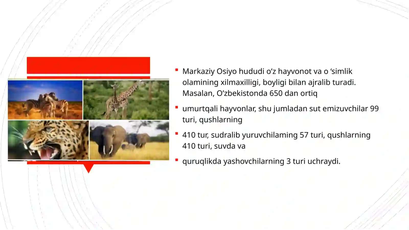 Hayvonot dunyosini muhofaza qilish va undan foydalanishning huquqiy tartibi 4