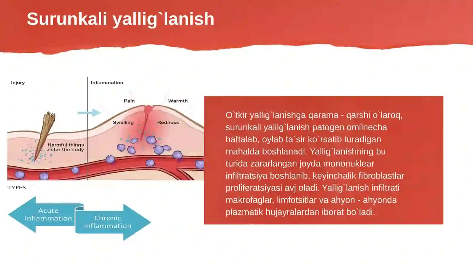 Surunkali yallig`lanish 4