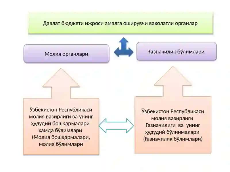 Молия органлари ва Ғазначилик бўлимларида бухгалтерия ҳисобини ташкил этув 4