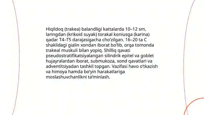 Nafas aʼzolari. Hiqildoq va kekirdak. Oʻpka havo oʻtkazuvchi yoʻllar - bronxlarning tuzilishi 4