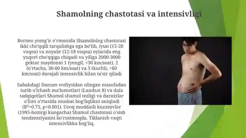Shamolning oʻrmonga taʼsirini oʻrganish 4
