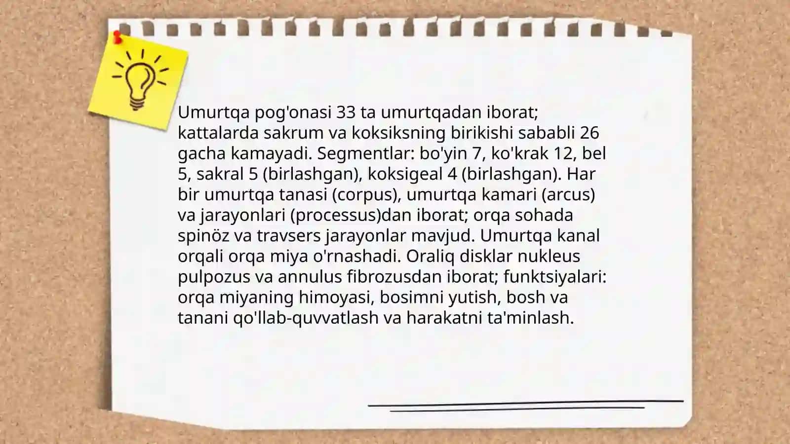 Osteologiya suyaklar tushunchalari 4