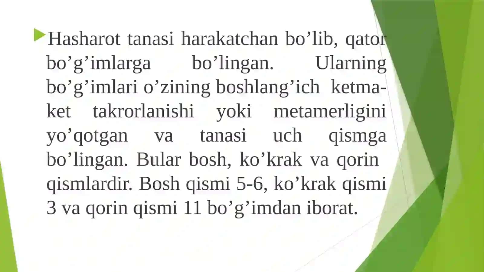 Hasharotlarning morfologiyasi va anatomiyasi 4