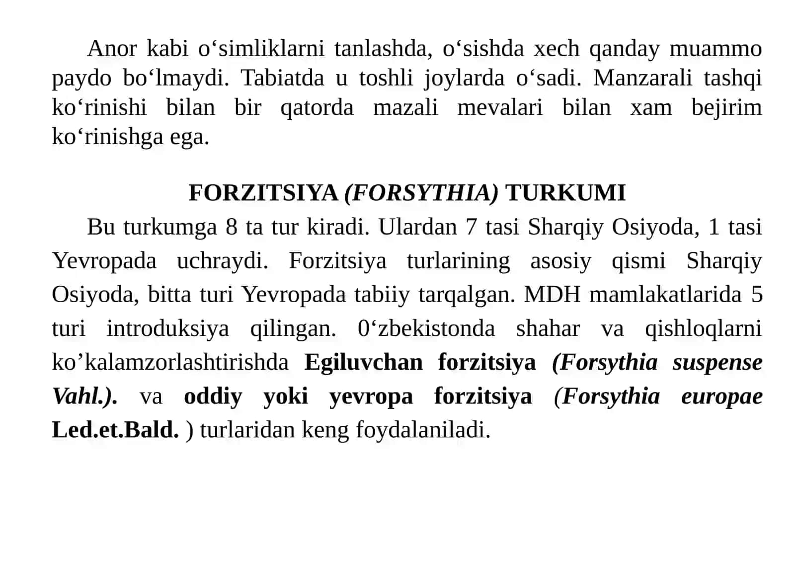 Anor,Forzitsiya, Siren,Qormevalibuta(Snejnoyagodnik),Gibiskus,Veygelaturkumlari 4