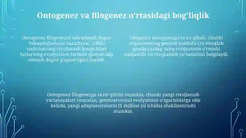 Umurtqalilarda a'zolar va a'zolar tizimi ontofilogenezi 4
